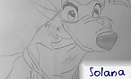 Solana