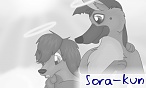 Sora-kun