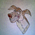 Ricky M. Barkin