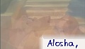 Alosha,