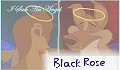 Black Rose