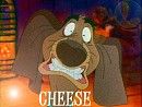 CHEESE