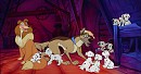 Dalmatians siters