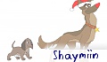 Shaymiin