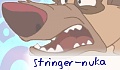 stringer