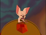 Image Bartok le Magnifique