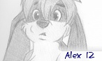 Alex 12