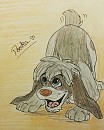 Pooka