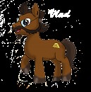 Vlad poney !