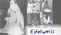 Edelweiss