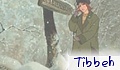 Tibbeh