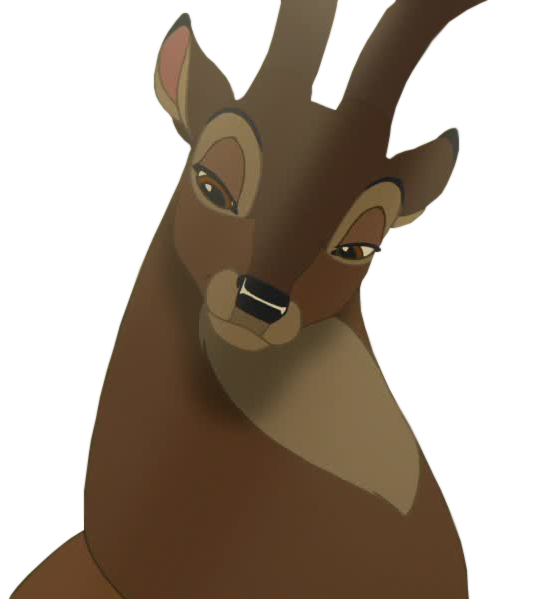 Aussi