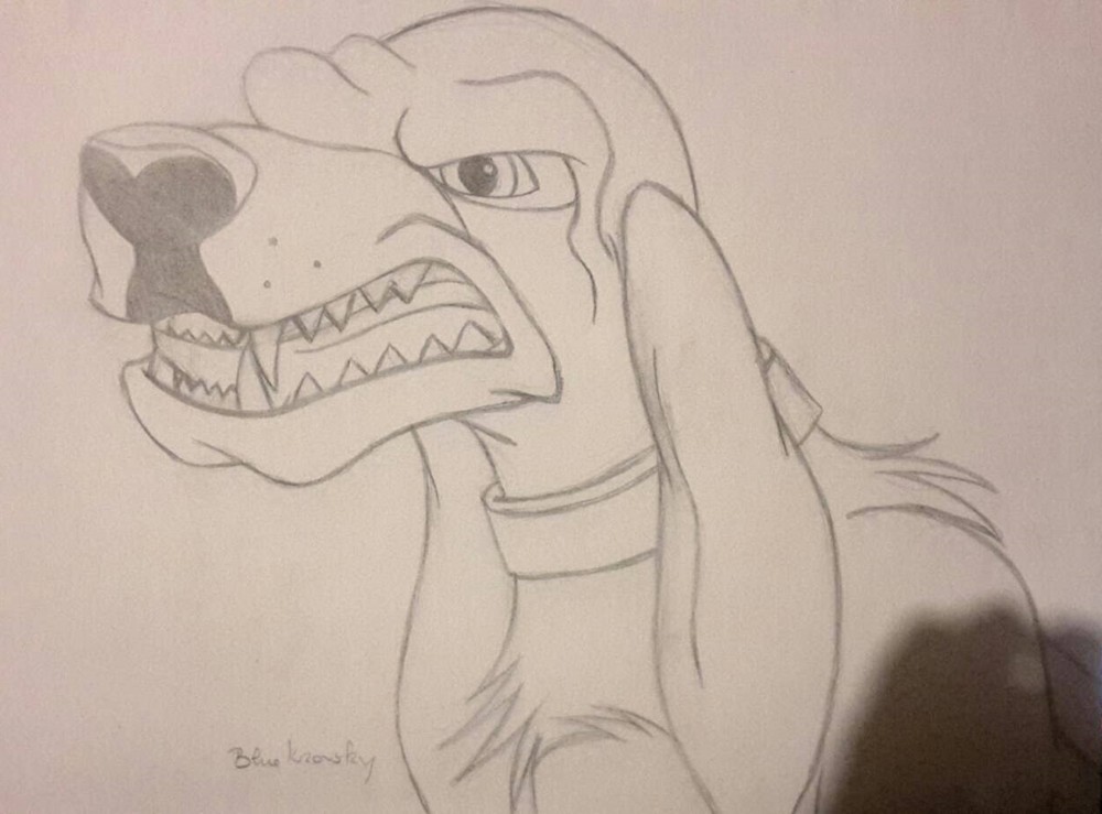 Animation