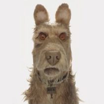 Isle of Dogs