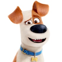 The Secret Life of Pets 2