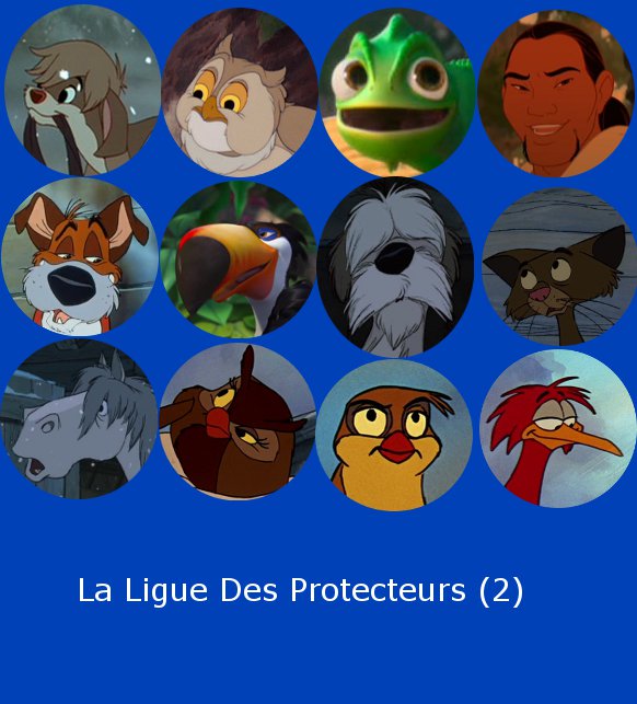 Projet