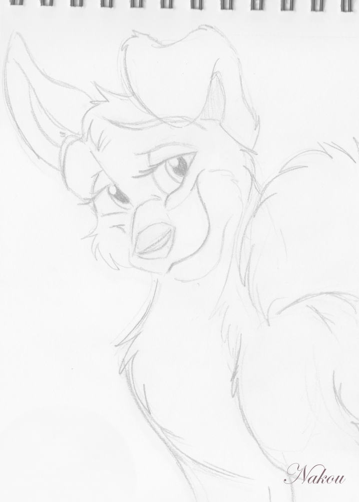 Stitch
