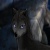 Alphawolves