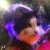 Cats9119