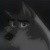 Grey wolf