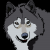 Kiba the white wolf