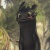Krokmouette