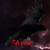 Raven'