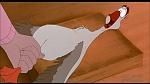 Balto picture Balto picture