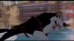 Image Balto
