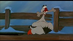 Image Balto