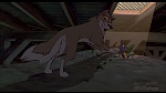 Image Balto