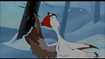 Image Balto