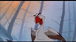 Image Balto