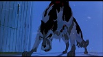 Balto picture