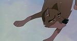 Image Balto