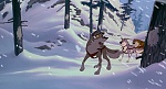 Image Balto
