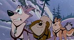 Image Balto