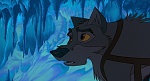 Image Balto