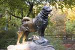 The true Balto