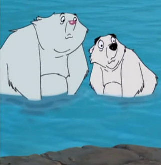 Bears