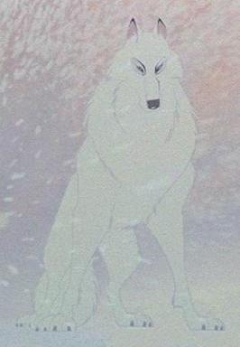 Wolf