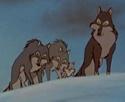 Wolves