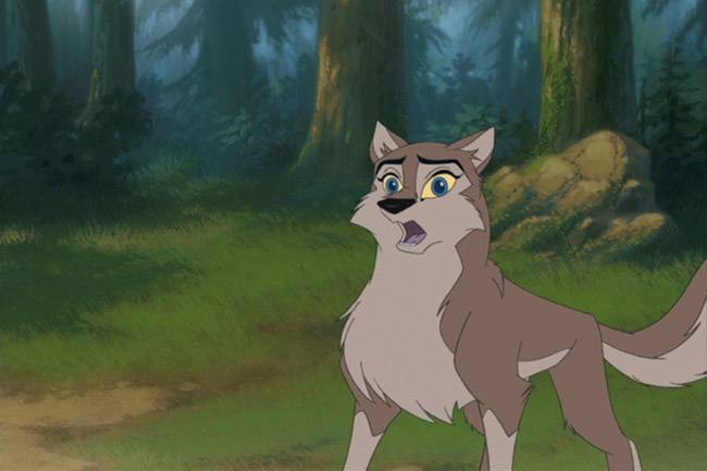 Dog