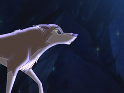 Aleu