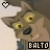 Writewolf