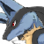 _Lucario_