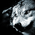 -WildWolf-