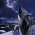 A White Wolf!