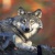 Alaskan wolf