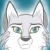 Amyloup